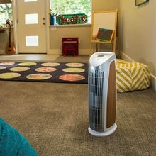Load image into Gallery viewer, Alen T500 for Allergies and Dust