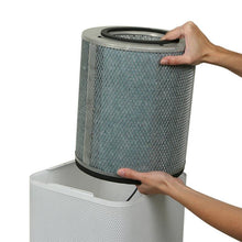 Load image into Gallery viewer, Austin Air Allergy Machine Air Purifier
