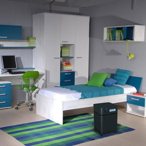 Austin Air HealthMate Plus Junior Air Purifier