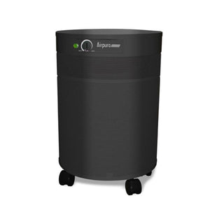 Airpura R600 HEPA Air Purifier